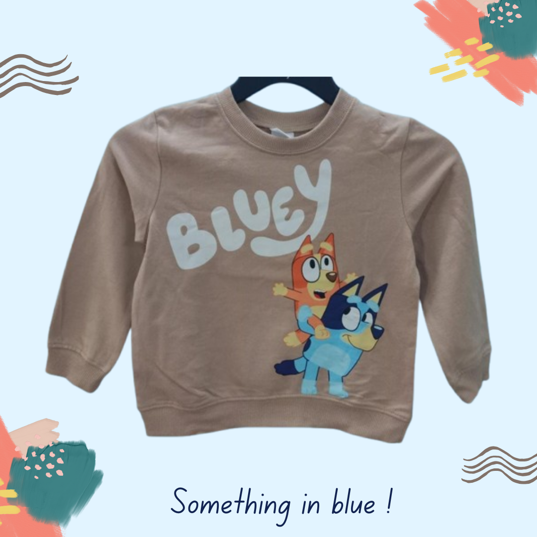 KID'S BRANDED SWEATSHIRT (20 Piece pack )